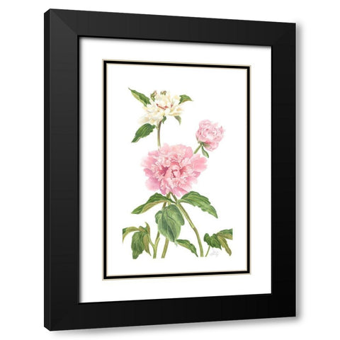 Peony II Black Modern Wood Framed Art Print with Double Matting by Shirley, Pamela