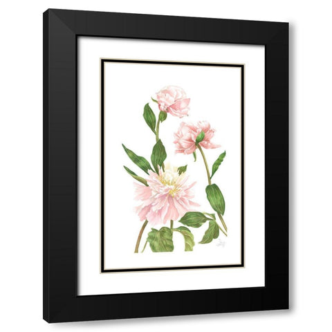 Peony III Black Modern Wood Framed Art Print with Double Matting by Shirley, Pamela