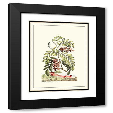 Grandiose View I Black Modern Wood Framed Art Print with Double Matting by Munting, Abraham
