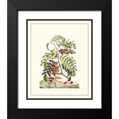Grandiose View I Black Modern Wood Framed Art Print with Double Matting by Munting, Abraham