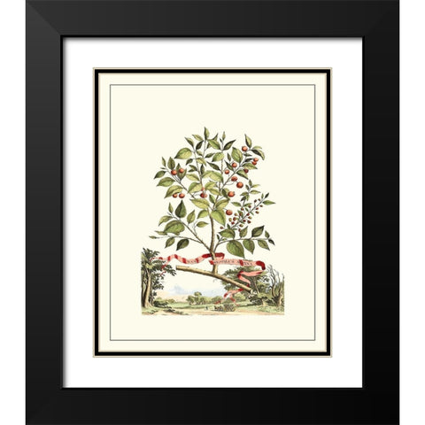 Grandiose View III Black Modern Wood Framed Art Print with Double Matting by Munting, Abraham