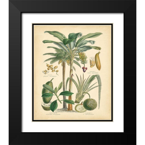 Fruitful Palm II Black Modern Wood Framed Art Print with Double Matting by Vision Studio