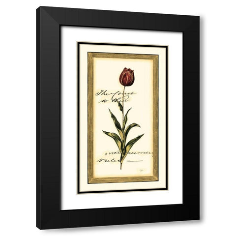 Jens Tulip II Black Modern Wood Framed Art Print with Double Matting by Vision Studio
