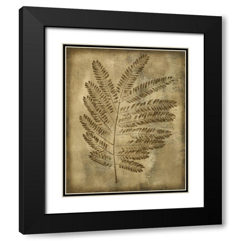 Sepia Drenched Fern II Black Modern Wood Framed Art Print with Double Matting by Slocum, Nancy