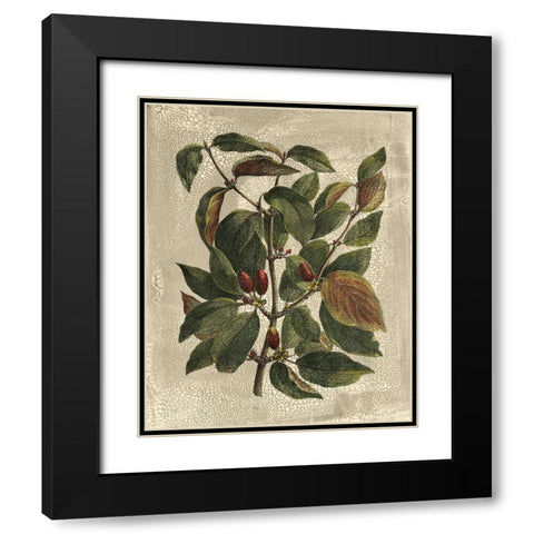 Deshayes Tree II Black Modern Wood Framed Art Print with Double Matting by Deshayes, Gerard Paul