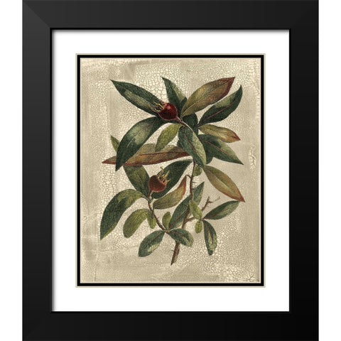 Deshayes Tree III Black Modern Wood Framed Art Print with Double Matting by Deshayes, Gerard Paul
