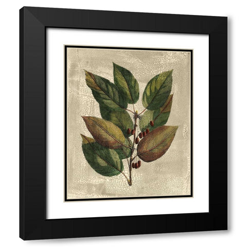 Deshayes Tree IV Black Modern Wood Framed Art Print with Double Matting by Deshayes, Gerard Paul