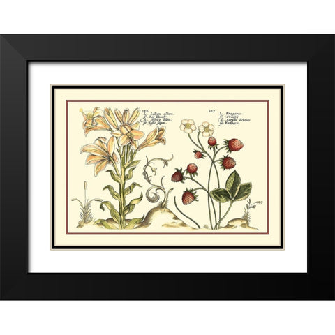 Garden Botanica I Black Modern Wood Framed Art Print with Double Matting by Vision Studio