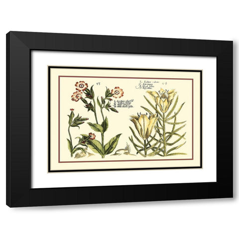 Garden Botanica III Black Modern Wood Framed Art Print with Double Matting by Vision Studio