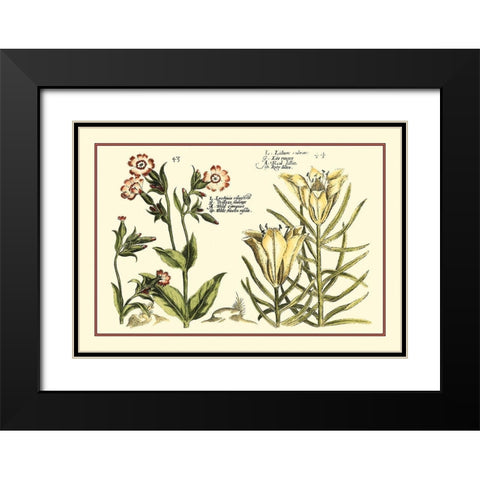 Garden Botanica III Black Modern Wood Framed Art Print with Double Matting by Vision Studio