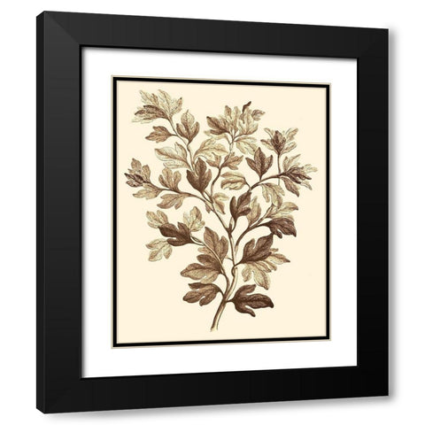 Sepia Munting Foliage I Black Modern Wood Framed Art Print with Double Matting by Munting, Abraham