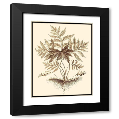 Sepia Munting Foliage IV Black Modern Wood Framed Art Print with Double Matting by Munting, Abraham