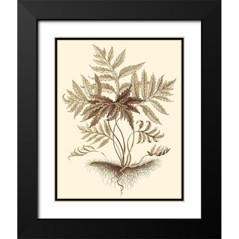 Sepia Munting Foliage IV Black Modern Wood Framed Art Print with Double Matting by Munting, Abraham