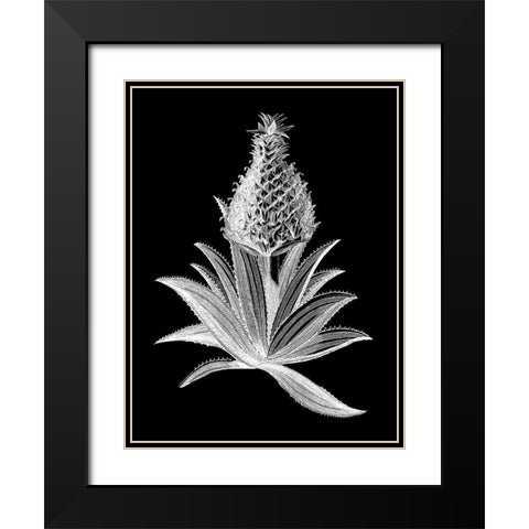 Pineapple Noir I Black Modern Wood Framed Art Print with Double Matting by Vision Studio