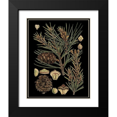 Dramatic Conifers II Black Modern Wood Framed Art Print with Double Matting by Vision Studio
