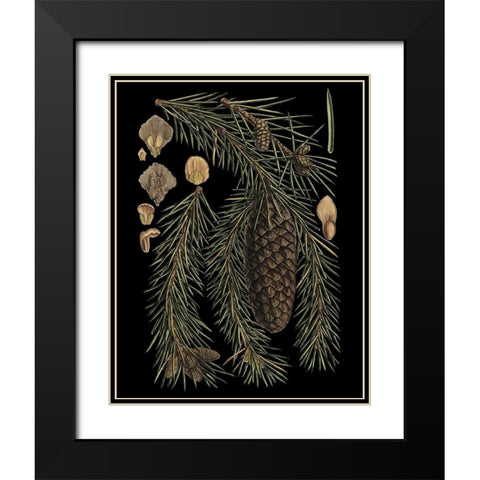 Dramatic Conifers III Black Modern Wood Framed Art Print with Double Matting by Vision Studio