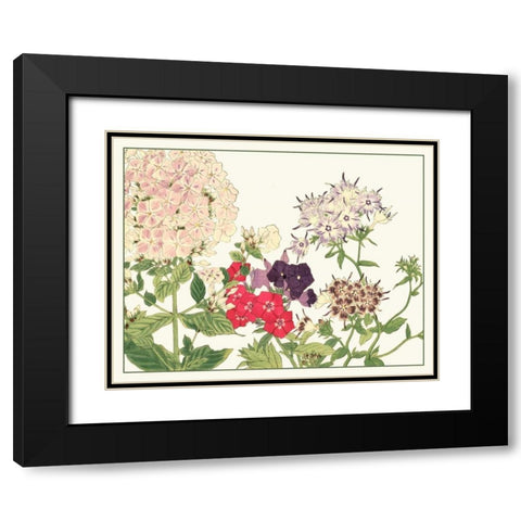 Japanese Flower Garden II Black Modern Wood Framed Art Print with Double Matting by Konan, Tanigami