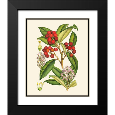 Crimson Berries I Black Modern Wood Framed Art Print with Double Matting by Curtis