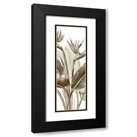 Bird of Paradise Triptych II Black Modern Wood Framed Art Print with Double Matting by Vision Studio