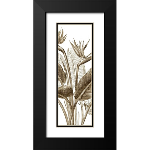Bird of Paradise Triptych II Black Modern Wood Framed Art Print with Double Matting by Vision Studio