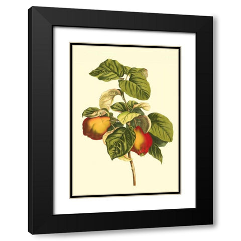 Bessa Pear Black Modern Wood Framed Art Print with Double Matting by Bessa