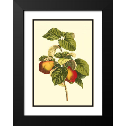 Bessa Pear Black Modern Wood Framed Art Print with Double Matting by Bessa