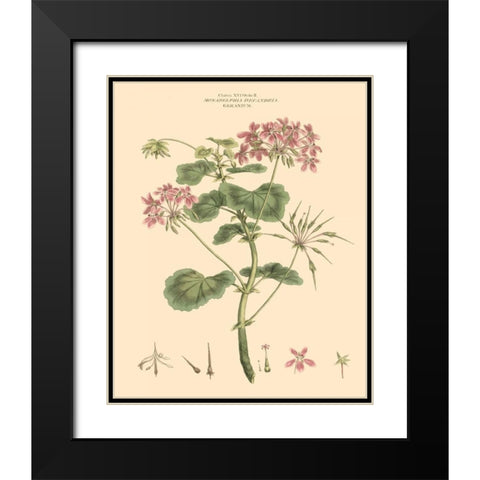 Blushing Pink Florals IV Black Modern Wood Framed Art Print with Double Matting by Miller, John
