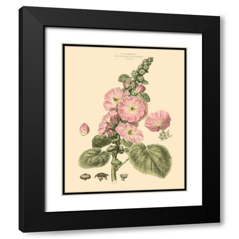 Blushing Pink Florals V Black Modern Wood Framed Art Print with Double Matting by Miller, John