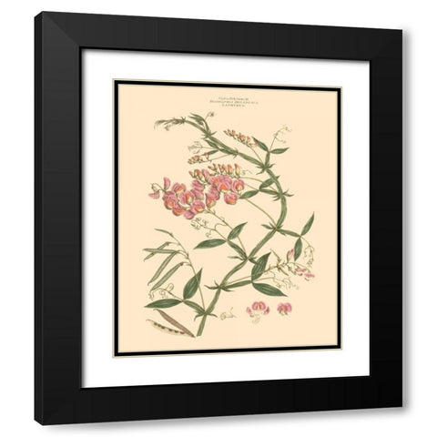 Blushing Pink Florals VI Black Modern Wood Framed Art Print with Double Matting by Miller, John