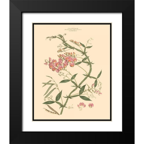 Blushing Pink Florals VI Black Modern Wood Framed Art Print with Double Matting by Miller, John
