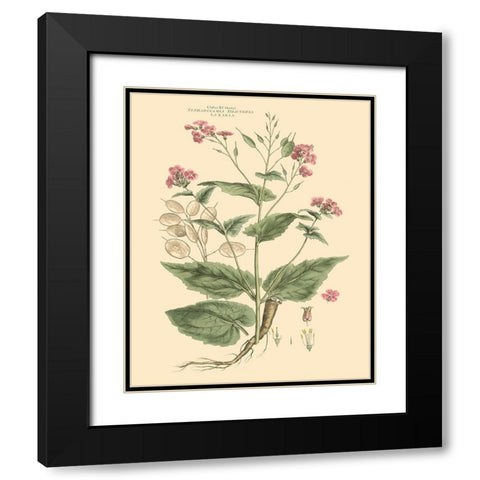 Blushing Pink Florals VII Black Modern Wood Framed Art Print with Double Matting by Miller, John