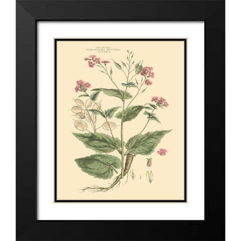 Blushing Pink Florals VII Black Modern Wood Framed Art Print with Double Matting by Miller, John