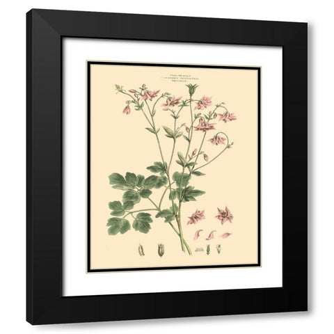 Blushing Pink Florals IX Black Modern Wood Framed Art Print with Double Matting by Miller, John