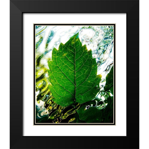 Rising Black Modern Wood Framed Art Print with Double Matting by Morris, Leonard