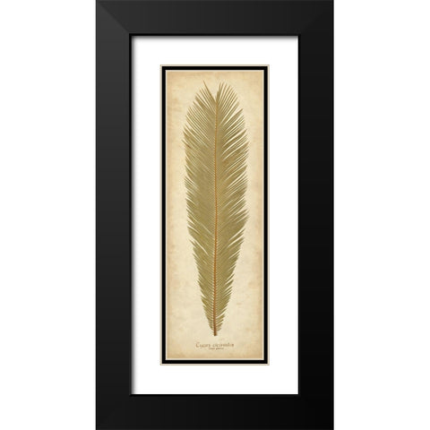 Sago Palm I Black Modern Wood Framed Art Print with Double Matting by Davis, Becky