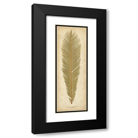 Sago Palm II Black Modern Wood Framed Art Print with Double Matting by Davis, Becky