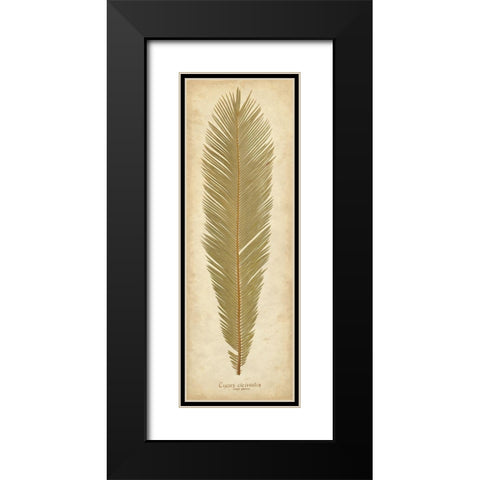 Sago Palm II Black Modern Wood Framed Art Print with Double Matting by Davis, Becky