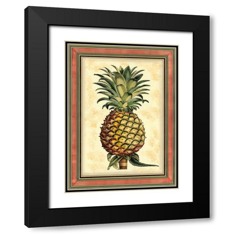Pineapple Splendor II Black Modern Wood Framed Art Print with Double Matting by Vision Studio
