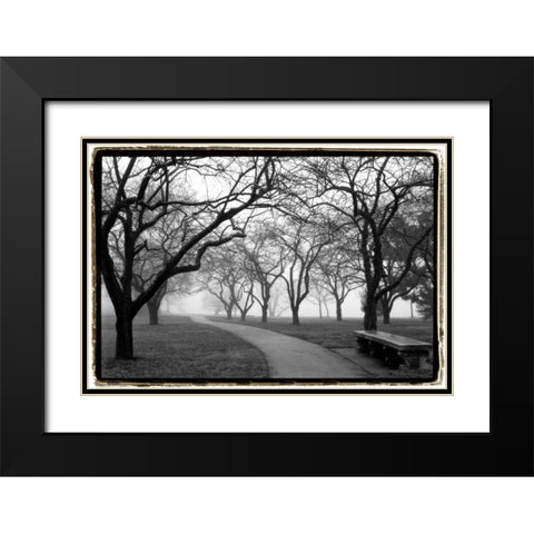 Foggy Morning Walk Black Modern Wood Framed Art Print with Double Matting by DeNardo, Laura