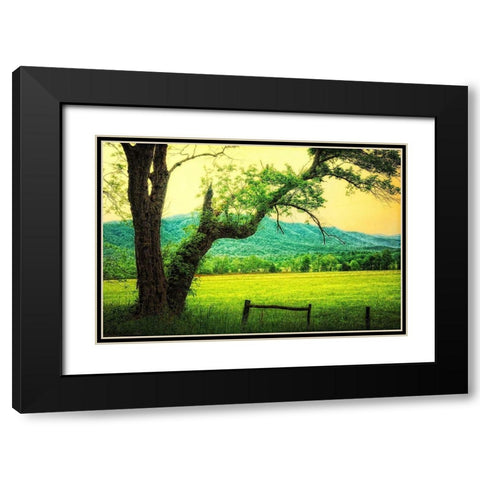 Morning at the Cove II Black Modern Wood Framed Art Print with Double Matting by Head, Danny
