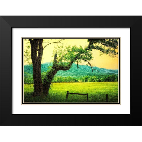 Morning at the Cove II Black Modern Wood Framed Art Print with Double Matting by Head, Danny