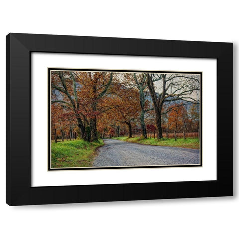 Morning on Sparks Lane I Black Modern Wood Framed Art Print with Double Matting by Head, Danny