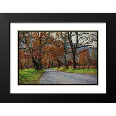 Morning on Sparks Lane I Black Modern Wood Framed Art Print with Double Matting by Head, Danny