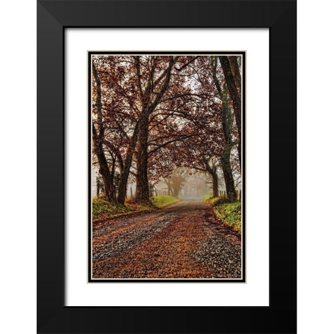 Morning on Sparks Lane II Black Modern Wood Framed Art Print with Double Matting by Head, Danny