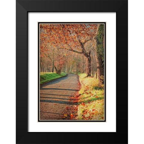 Morning on Sparks Lane III Black Modern Wood Framed Art Print with Double Matting by Head, Danny