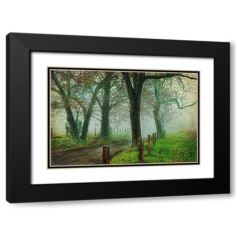 Morning on Sparks Lane IV Black Modern Wood Framed Art Print with Double Matting by Head, Danny