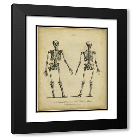 Anatomy Study I Black Modern Wood Framed Art Print with Double Matting by Wilkes