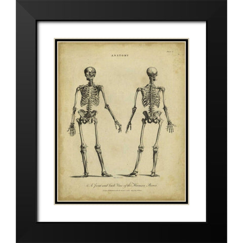 Anatomy Study I Black Modern Wood Framed Art Print with Double Matting by Wilkes