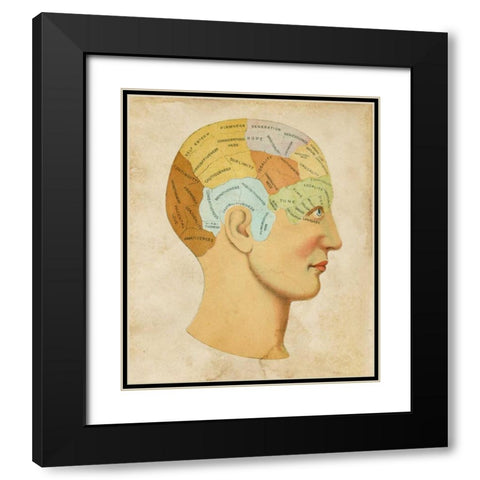 Vintage Phrenology Black Modern Wood Framed Art Print with Double Matting by Vision Studio