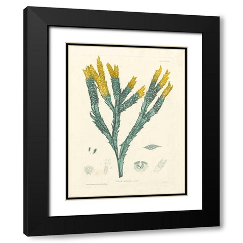 Luminous Seaweed I Black Modern Wood Framed Art Print with Double Matting by Bradbury, Henry
